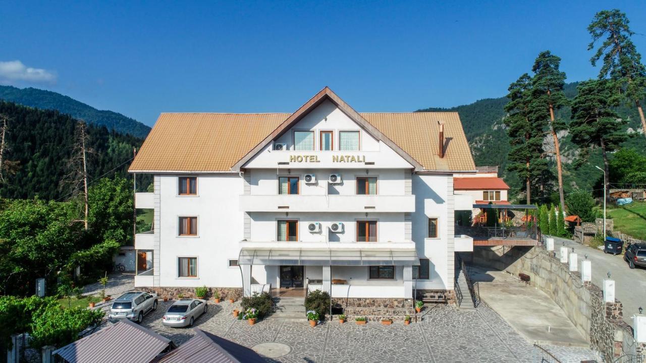 Natali Hotel Borzsomi Kültér fotó